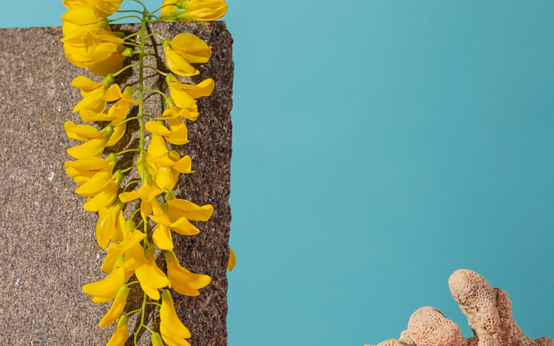 Zero-click content: overtuigen zonder doorklik